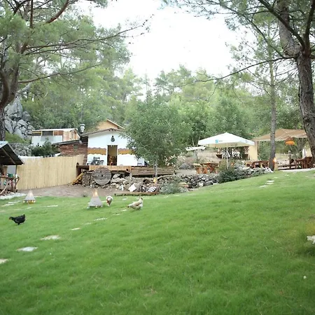 Yalin Ayak Campo de lujo