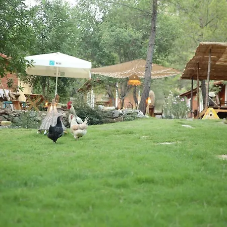 Yalin Ayak Campo de lujo Yenbey